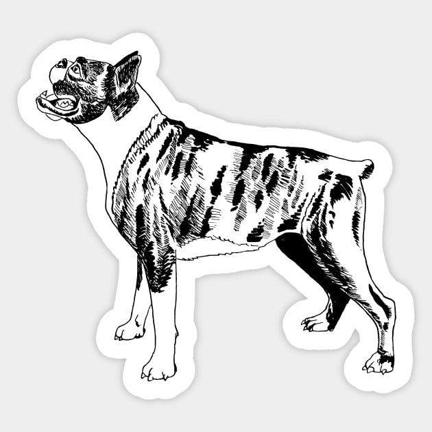 boxer dog Sticker by VicaVeresk